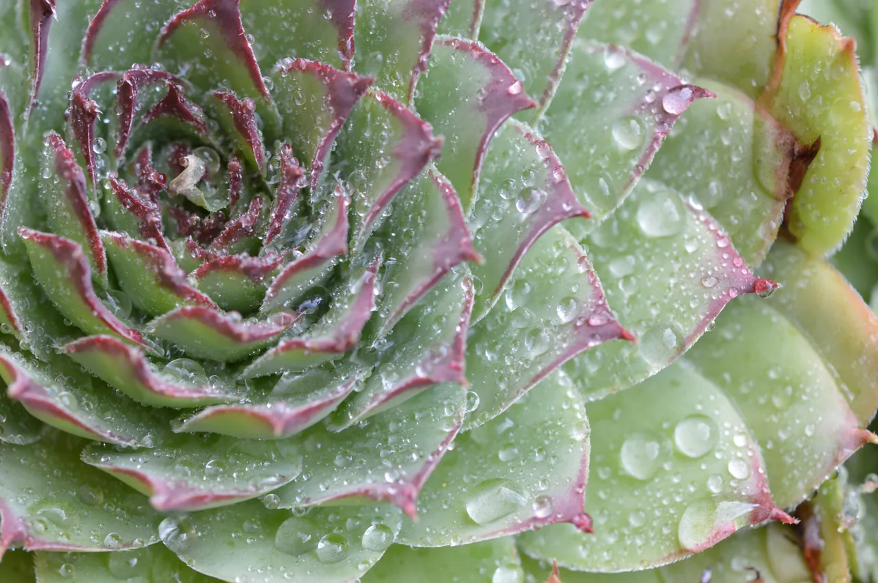 I benefici della pratica Mindfulness