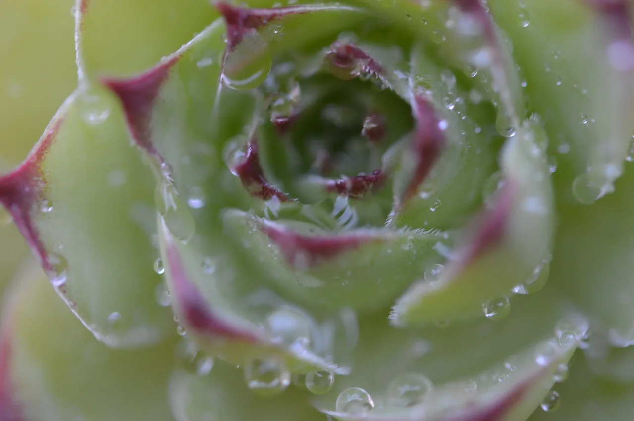 Tecniche e pratica Mindfulness